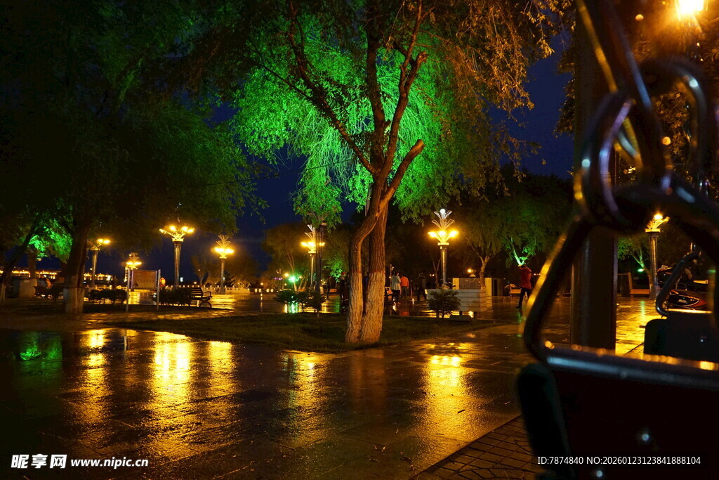 雨夜公园的静谧灯光景色