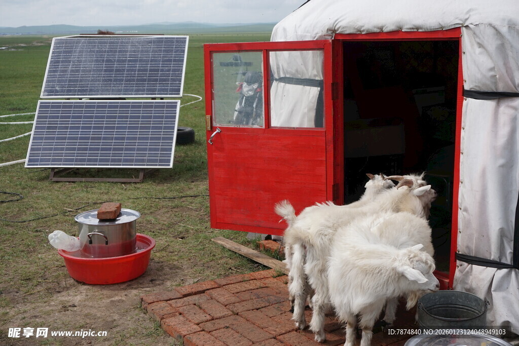 蒙古包外的太阳能与羊群