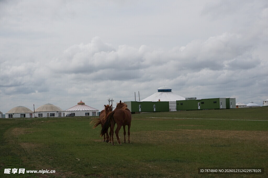 草原上的骑马场景