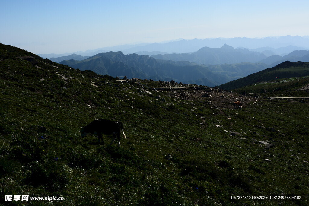 山间绿野远眺壮阔景致