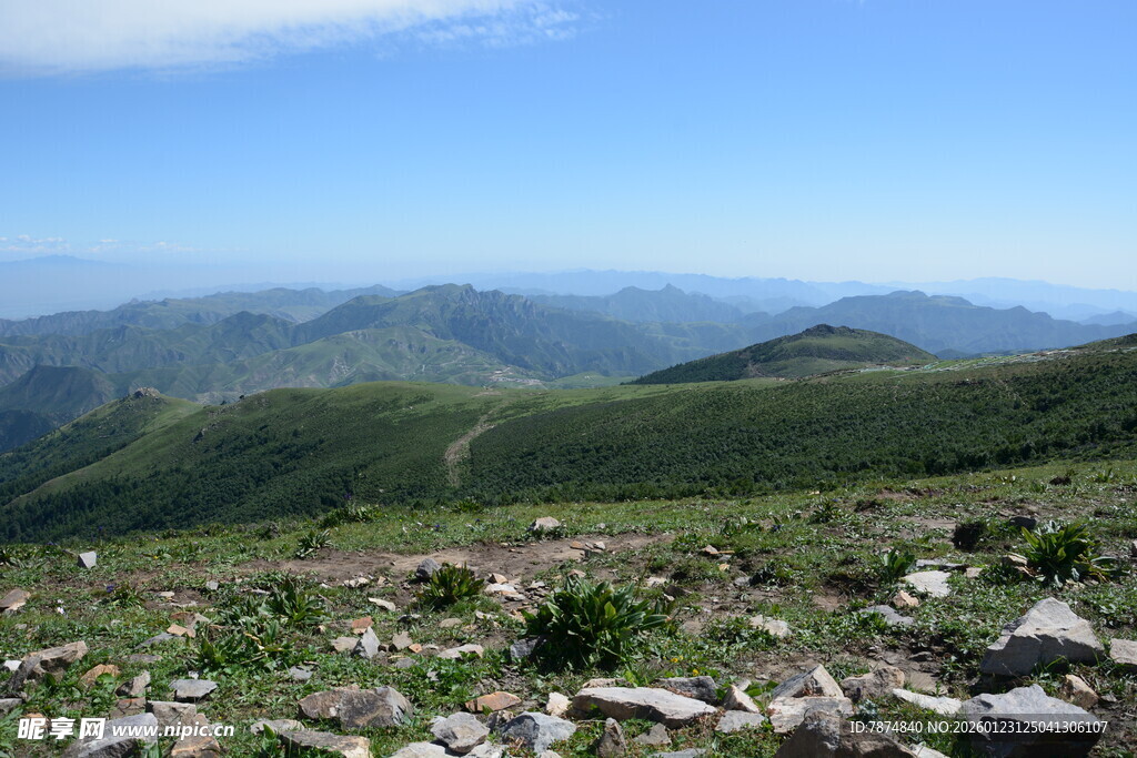 高山绿野风景