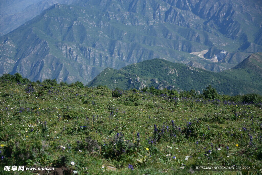 山间绿野 自然美景如画