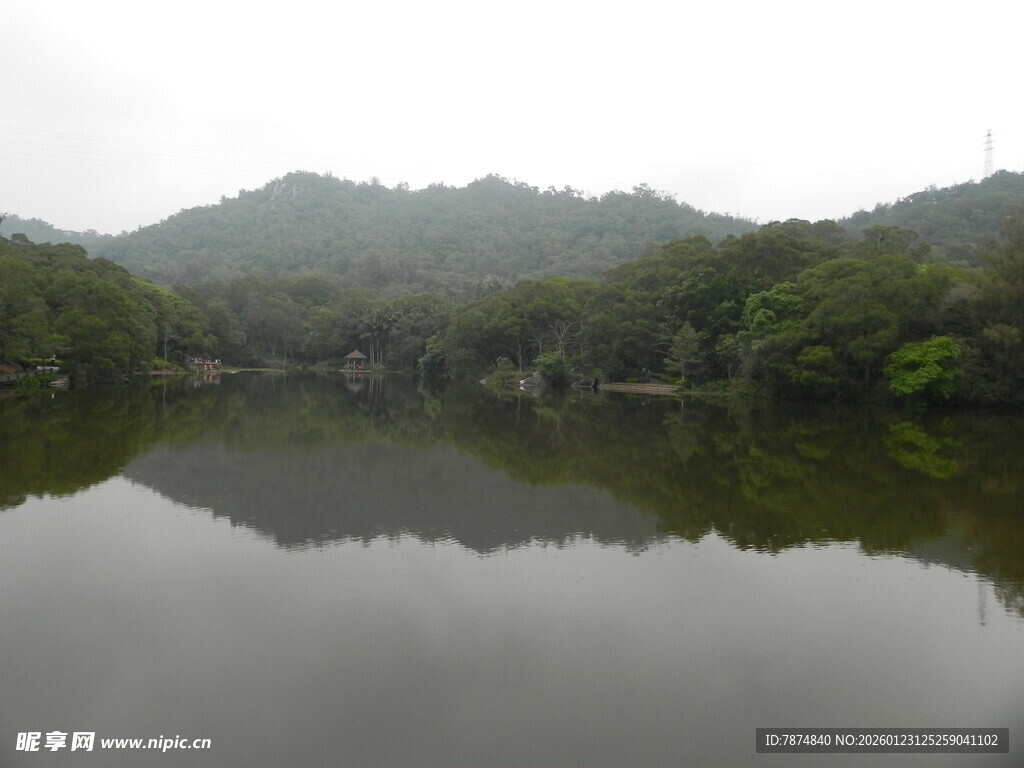宁静湖景映山林