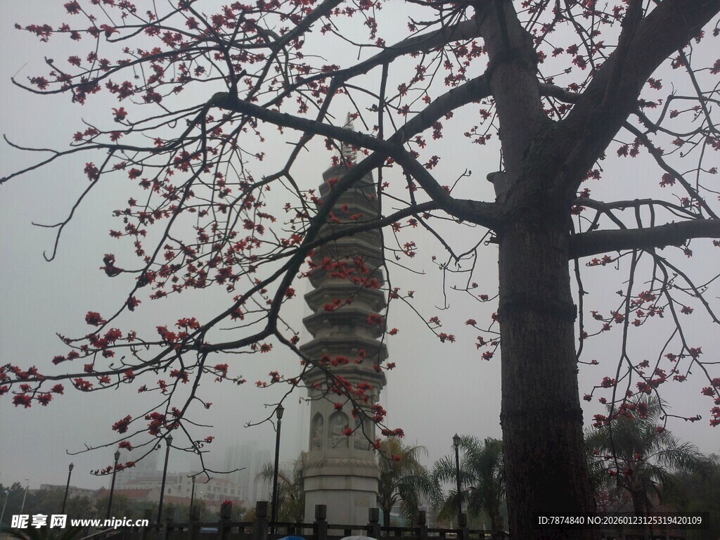 古塔旁繁花满树的景象