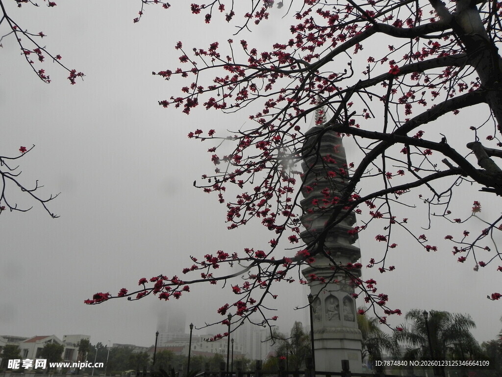 古塔旁绽放的艳丽花枝