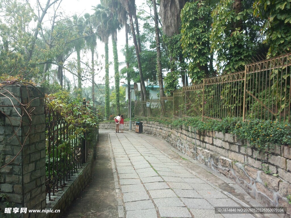 幽静石板小径 绿植环绕