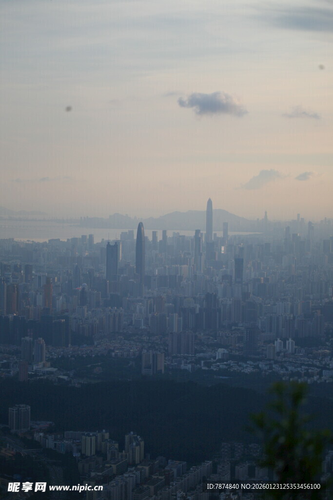 雾中城市天际线景观