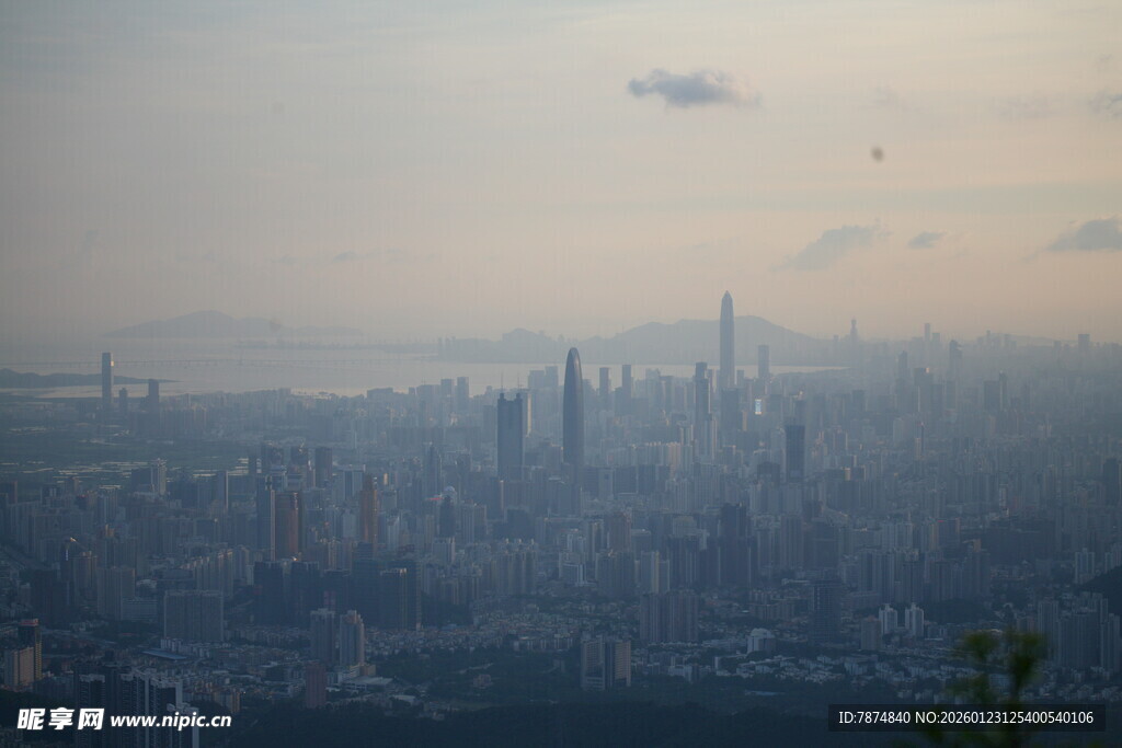 雾中城市天际线景观