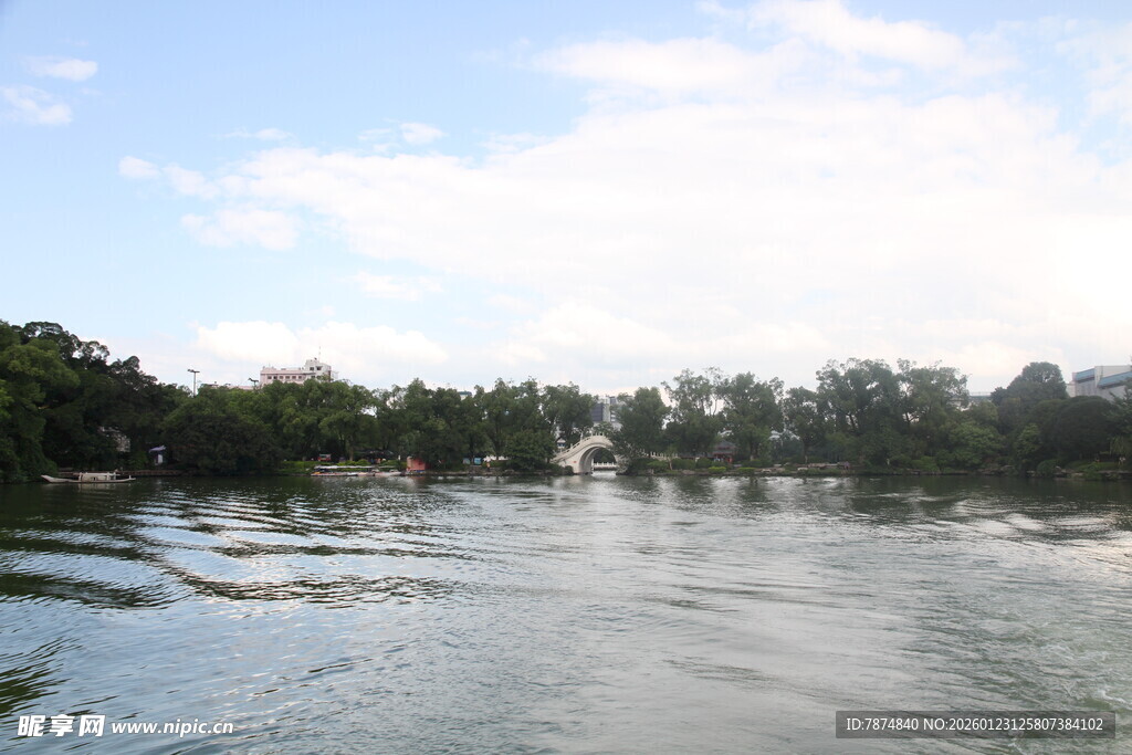 河畔风光 水波与绿树相映
