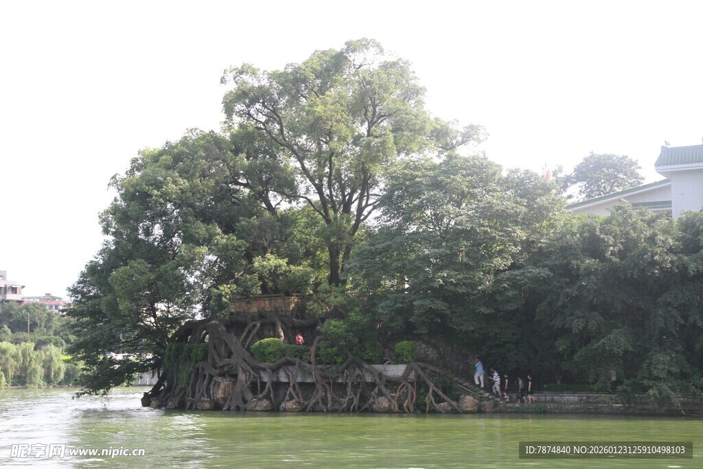 湖中小岛绿树成荫