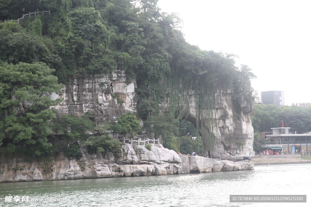 江边峭壁绿植景观