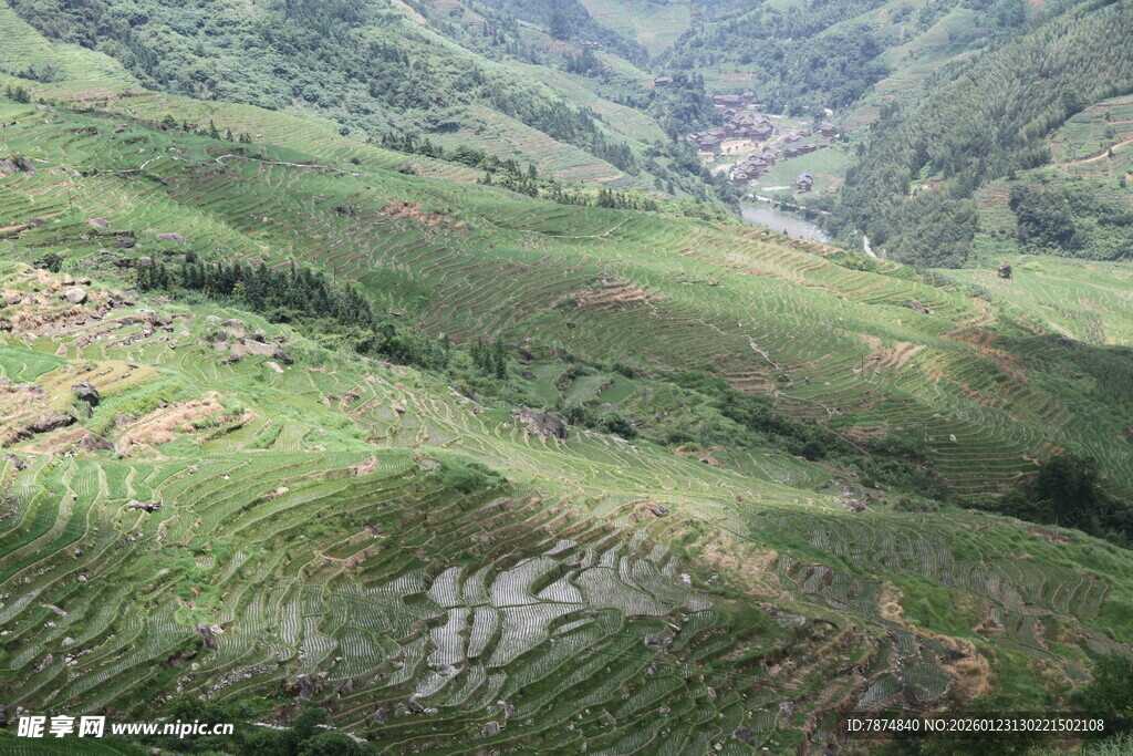山间绿野梯田美景