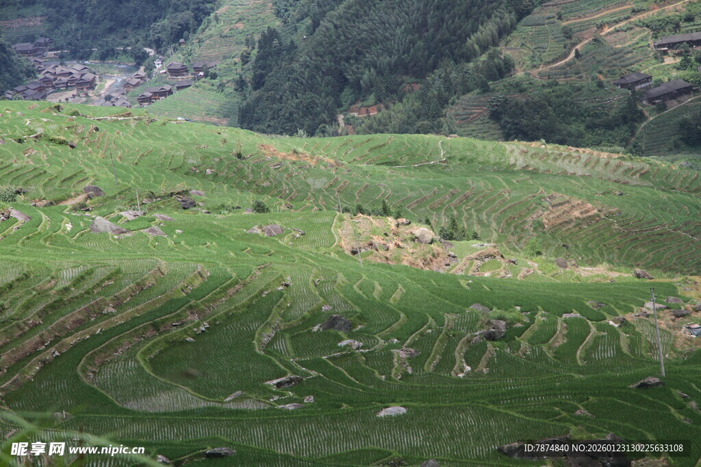 翠绿梯田 山间田园美景