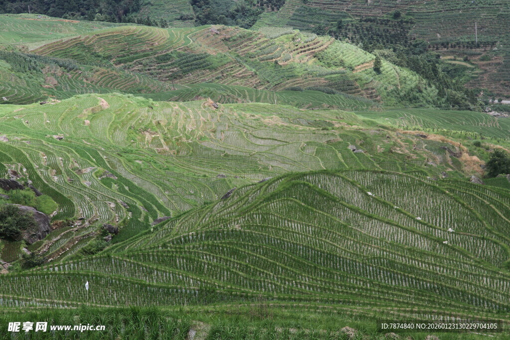 翠绿山峦田园风光美景