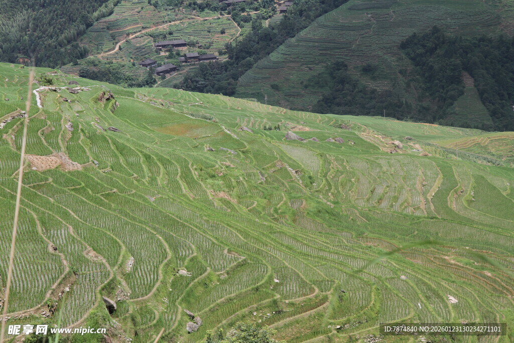 翠绿梯田 山间田园美景