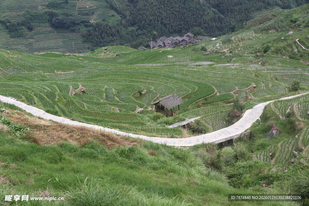山间蜿蜒小路 绿意盎然
