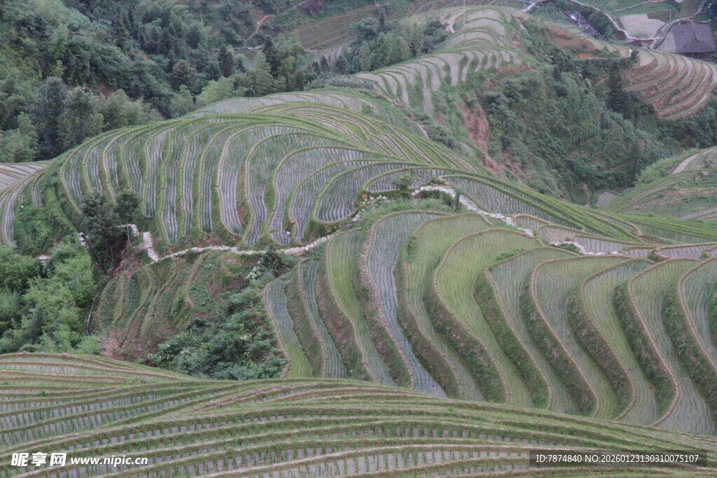壮观梯田景观