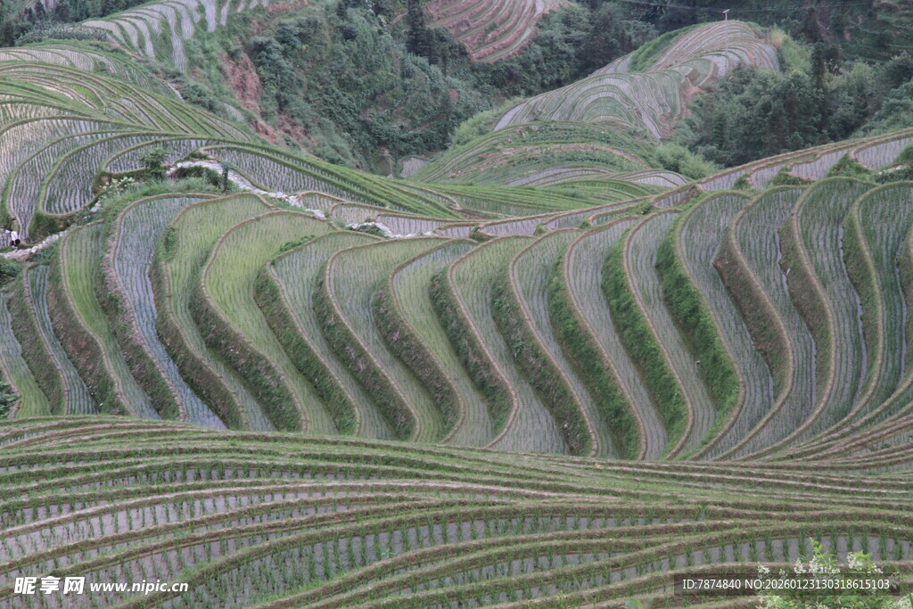 壮观梯田景观