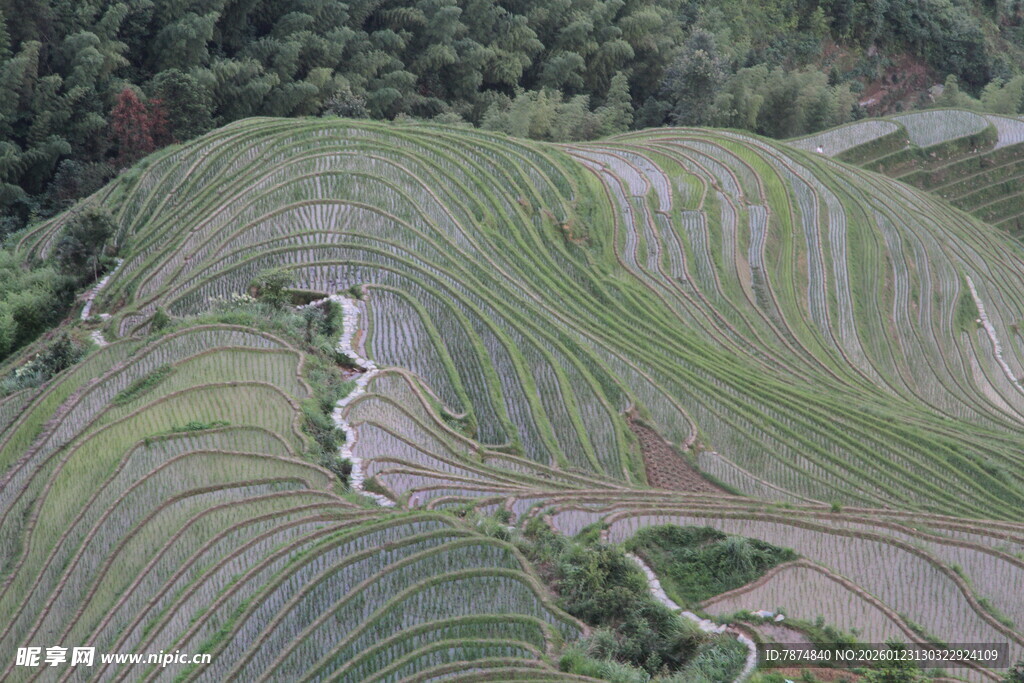壮观梯田美景
