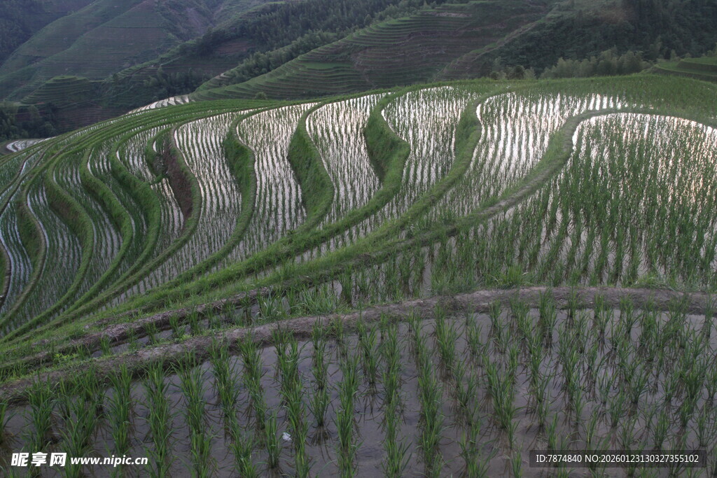 壮观梯田景观