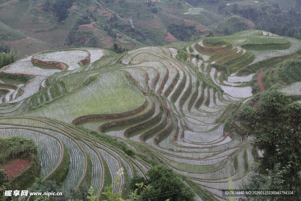 壮观的梯田景观画面