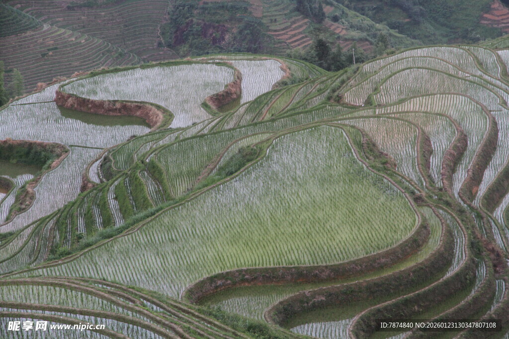 壮观梯田美景