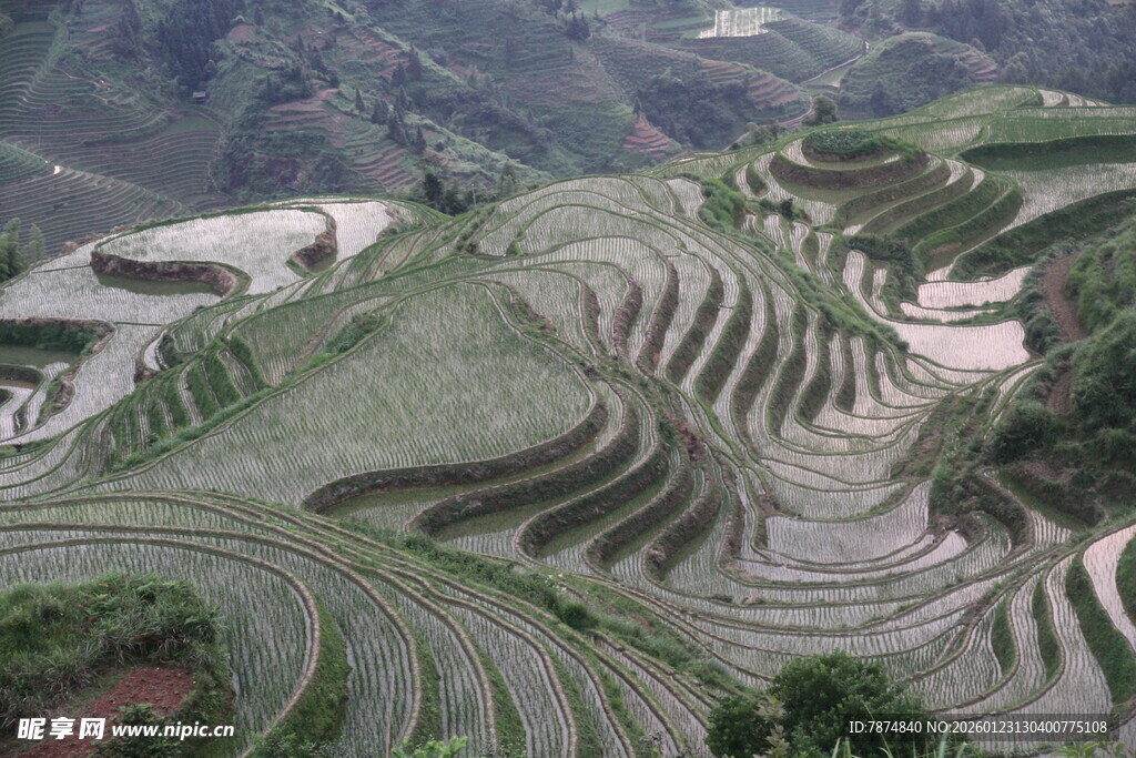 壮观的梯田景观