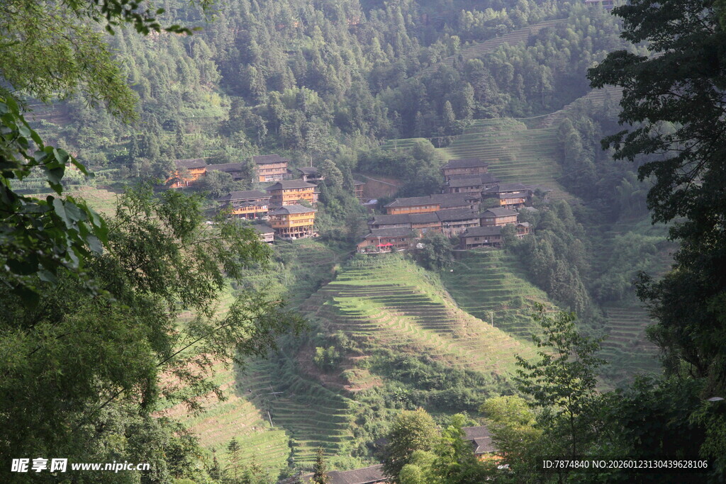 山间村落隐于葱郁绿意中
