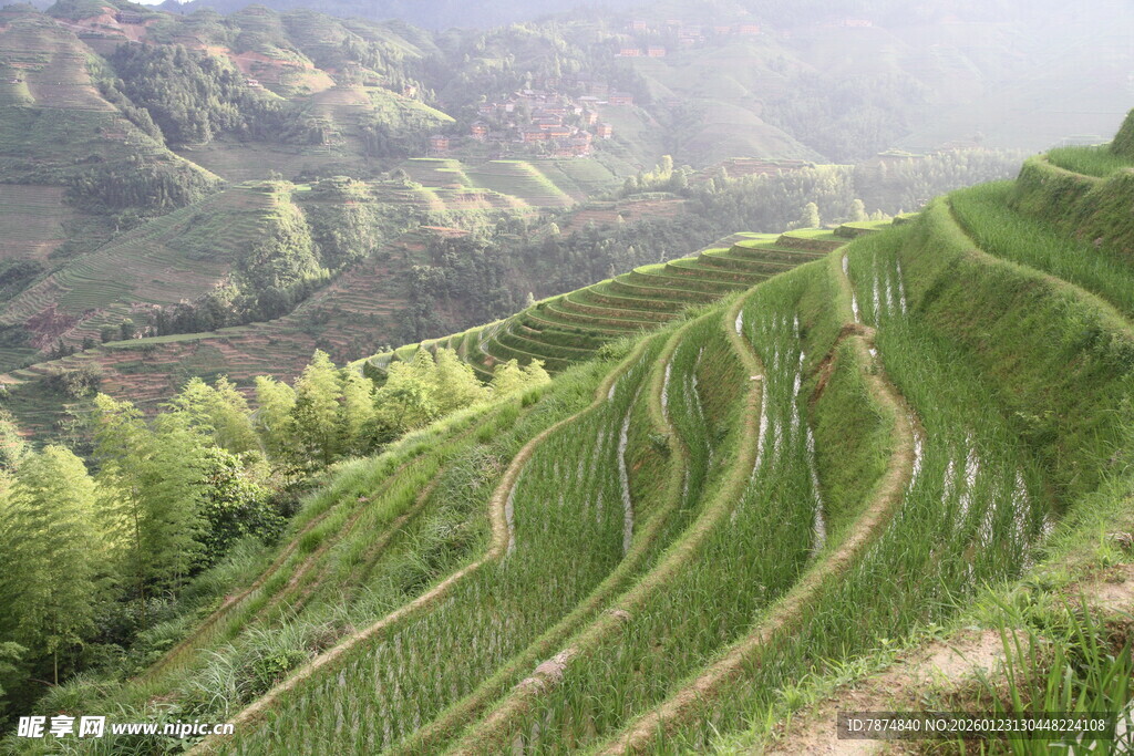 山间梯田绿意盎然