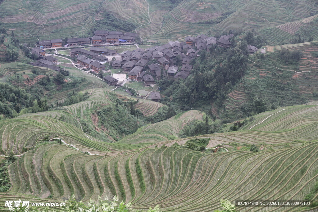 龙脊梯田壮美风光