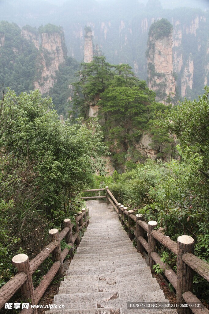 山间木栈道 绿意环绕美景