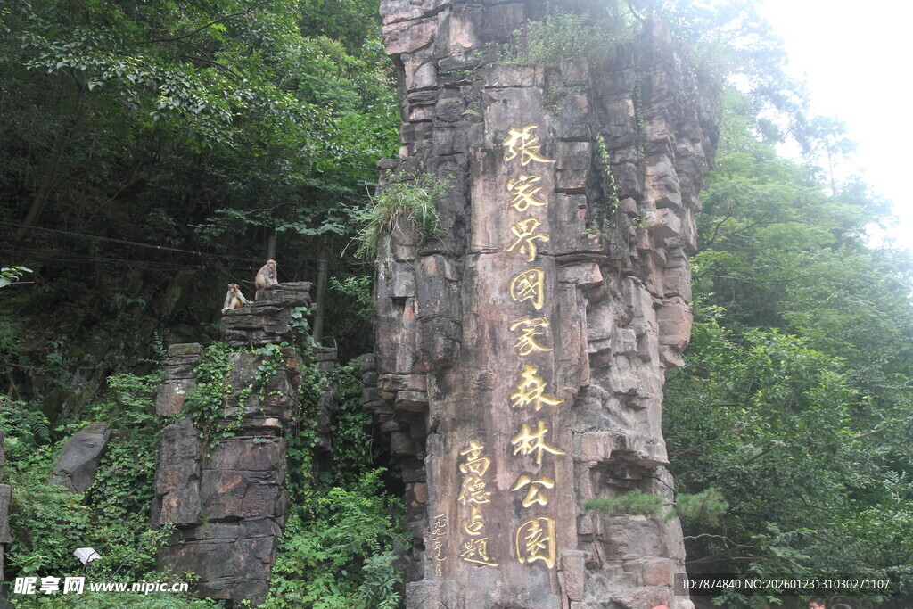 山林中的刻字石柱