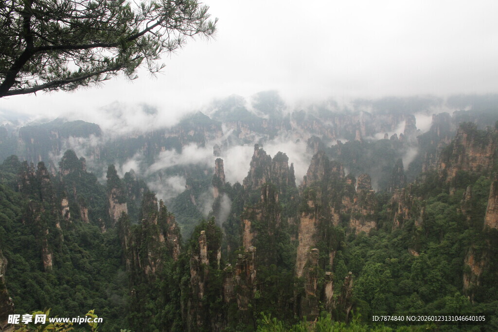 张家界奇峰云雾景观