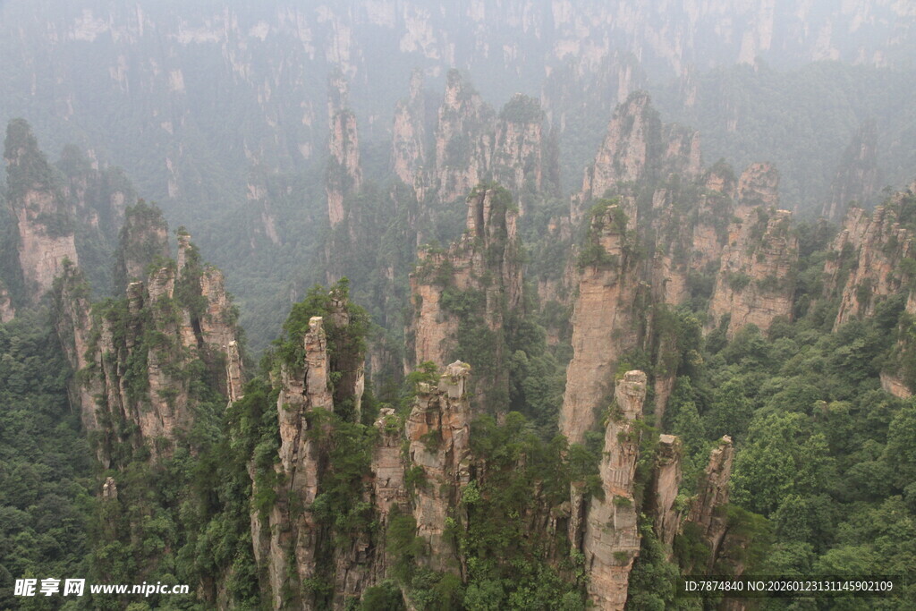张家界奇峰林立美景