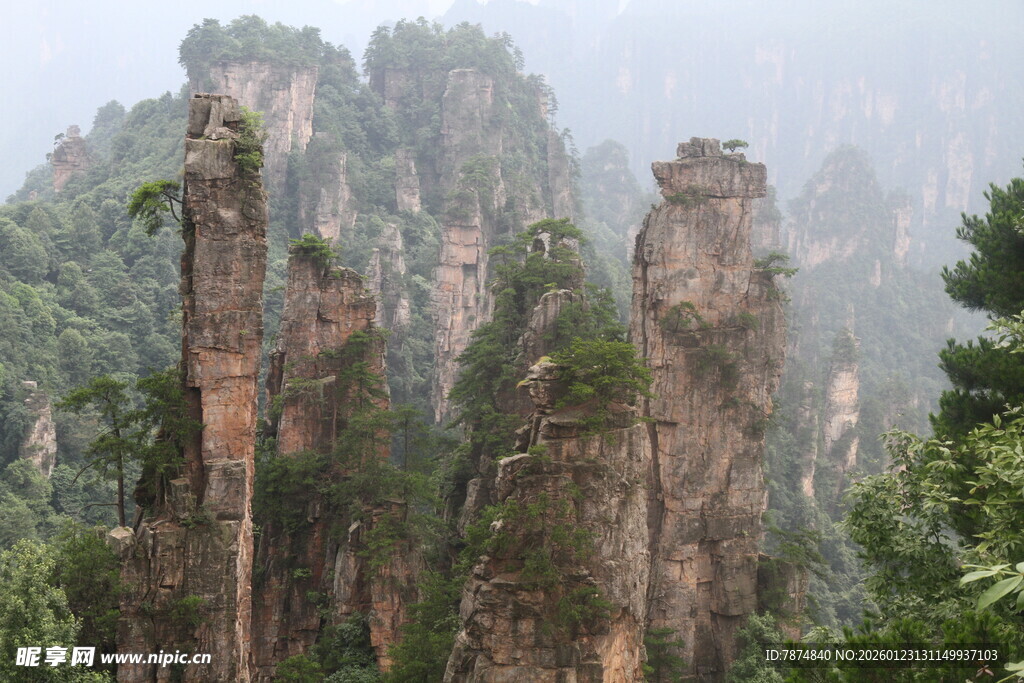 张家界奇峰景观