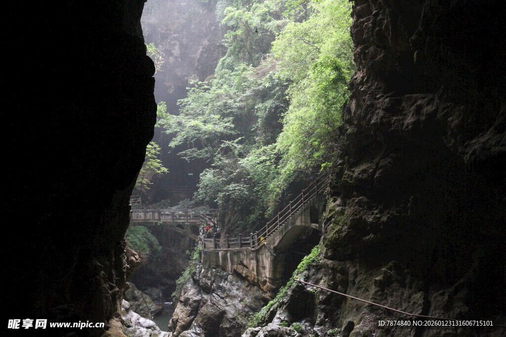 峡谷间的绿意盎然