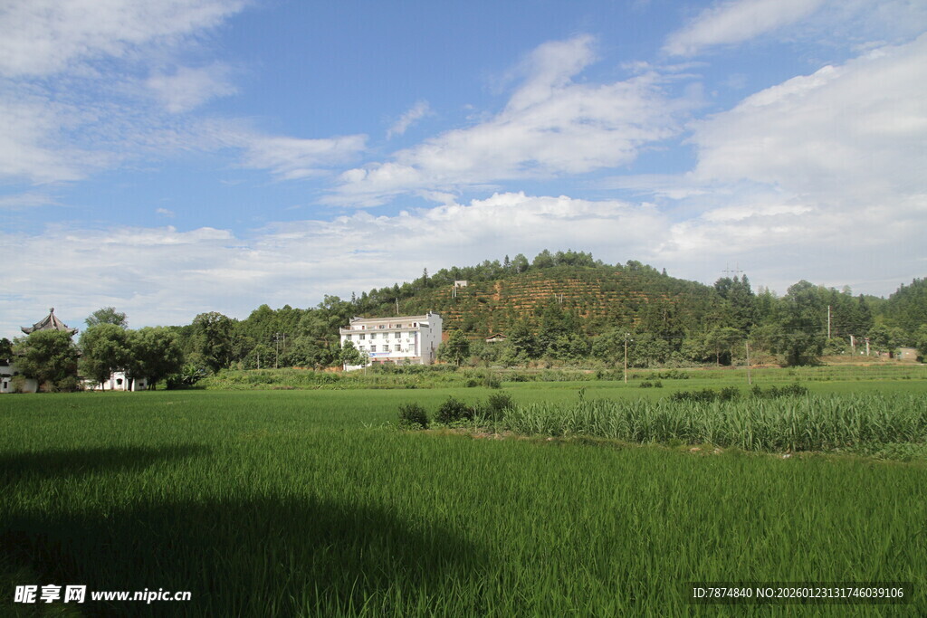 田园风光中的静谧乡村景色