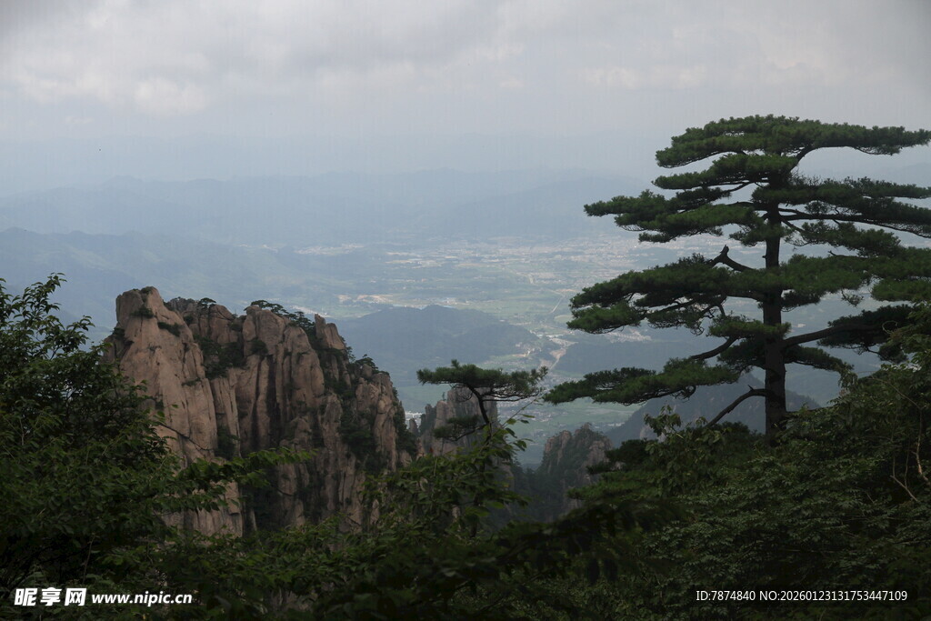 黄山奇峰与孤松美景