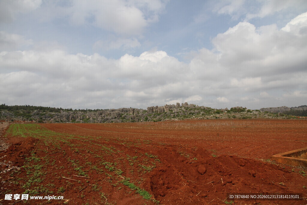 红土地景观 广袤开阔