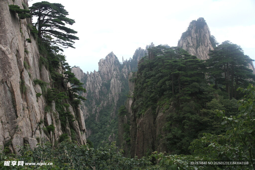 壮丽黄山奇峰绿植景观