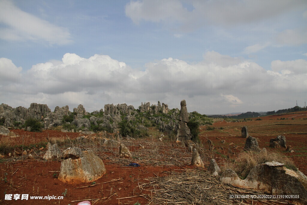 荒凉红土地上的奇特石林
