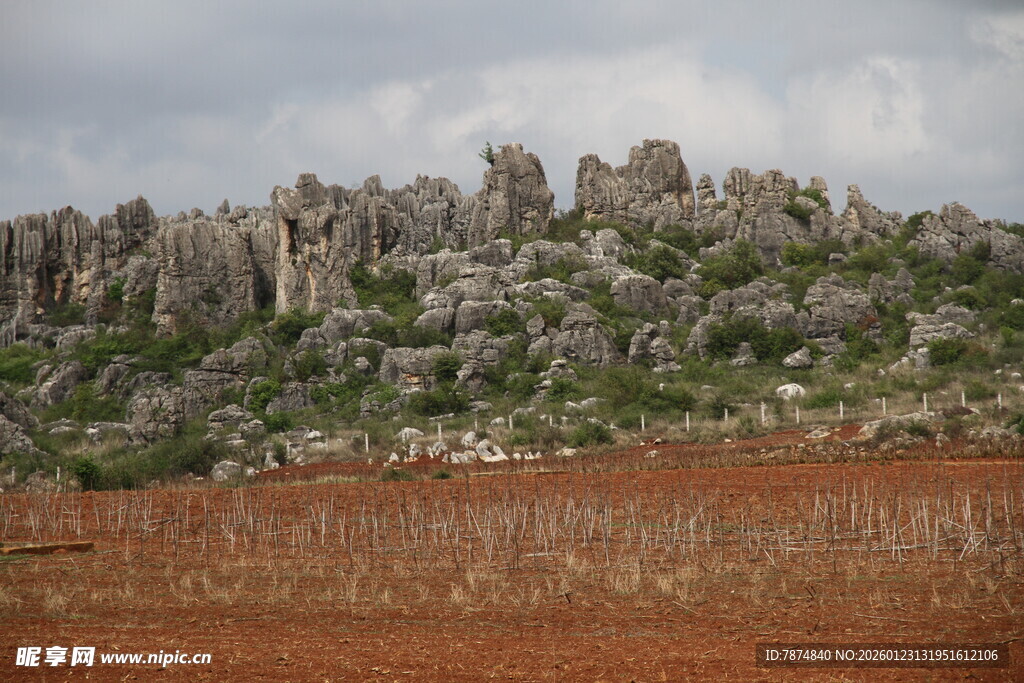 荒野中的奇特岩石景观