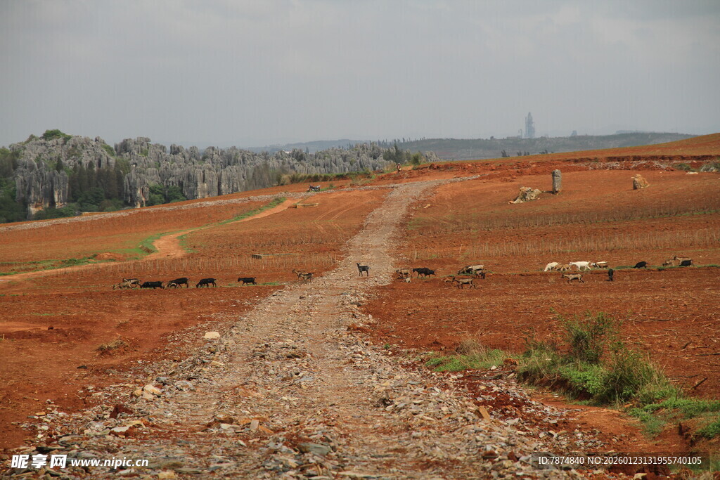 红土地上的蜿蜒碎石路