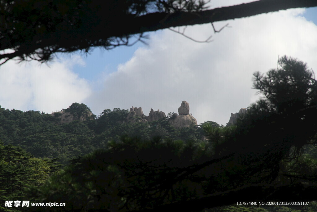 山林间的天空与繁茂树木