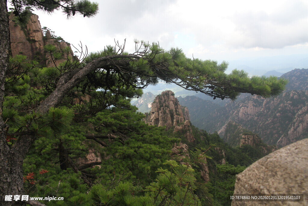 黄山奇峰上的苍松景观