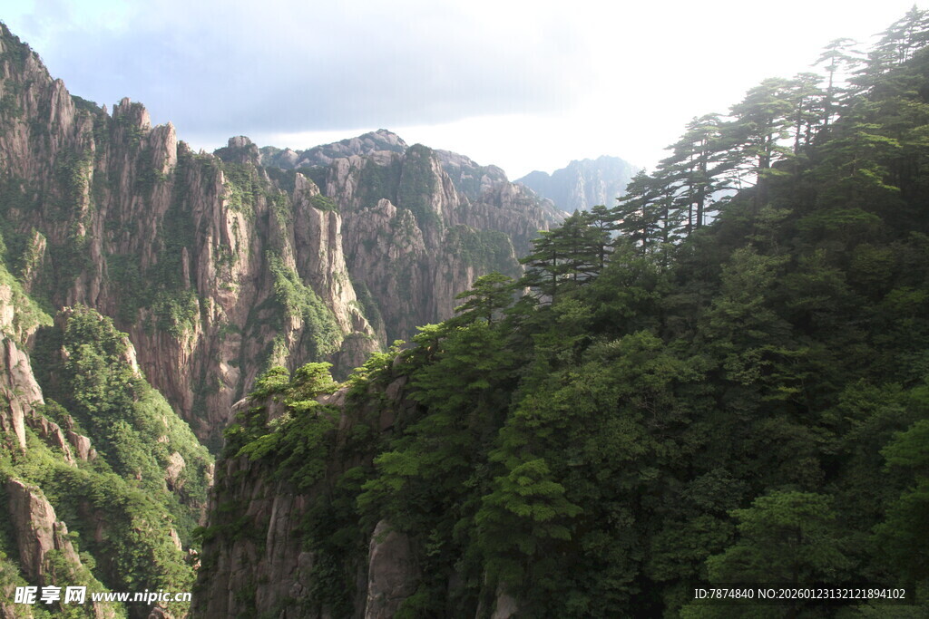 壮丽山峰与葱郁植被景观