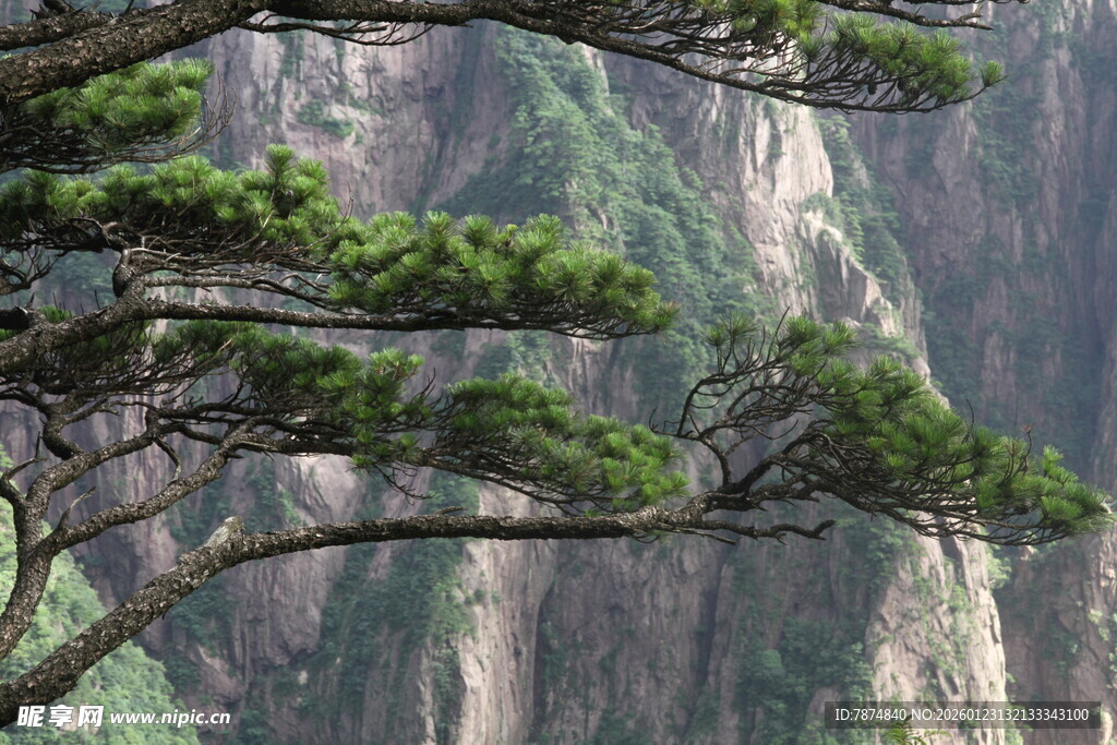 黄山奇松伴巍峨山峦