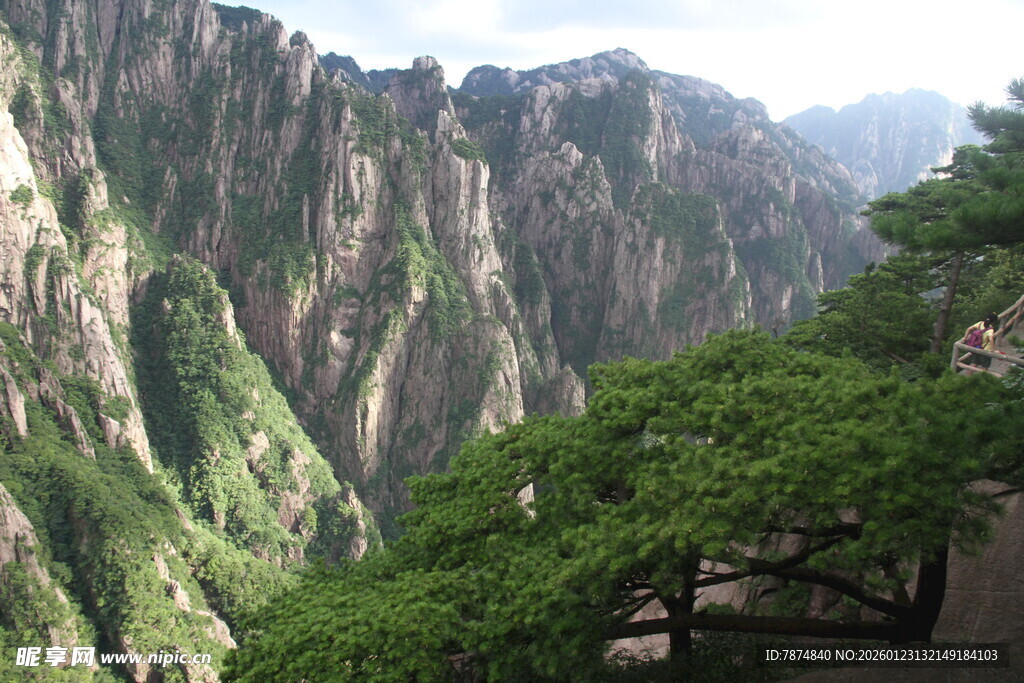 壮丽黄山奇峰与苍松景观