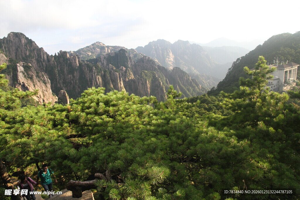 山间绿意盎然的壮丽景色