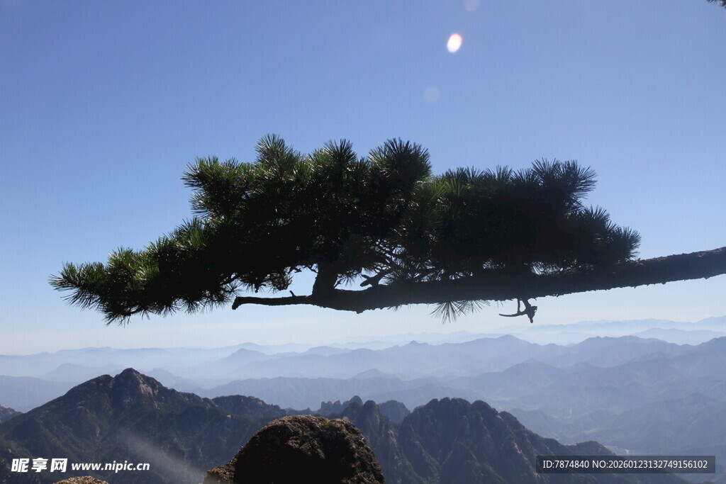 悬崖边的松枝与壮丽山景